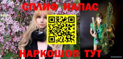 бошки Заводоуковск
