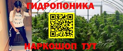 бошки Заводоуковск