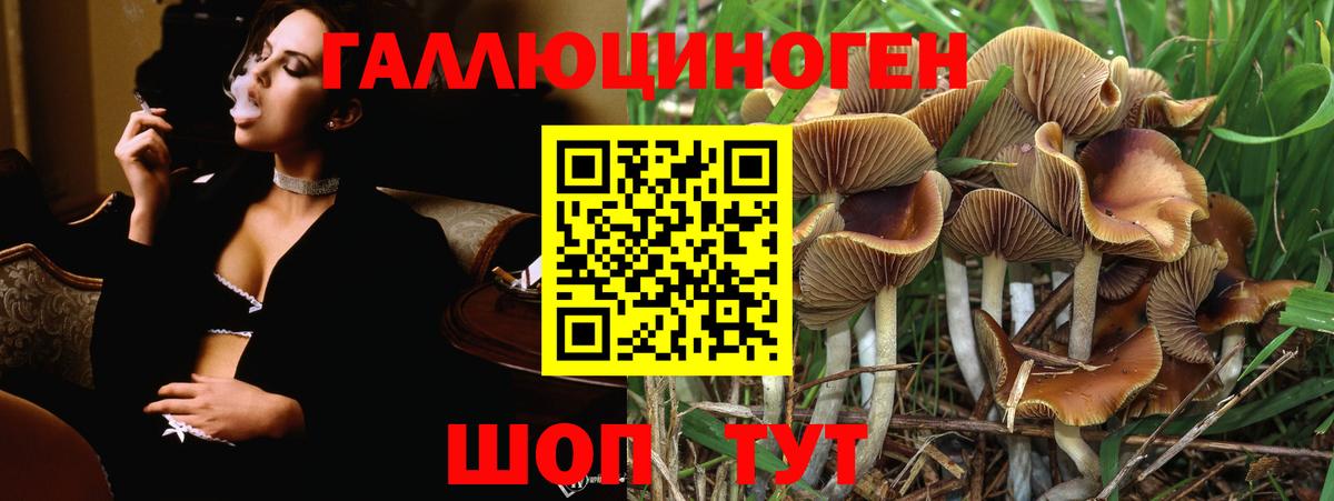 Псилоцибиновые грибы Magic Shrooms Арсеньев
