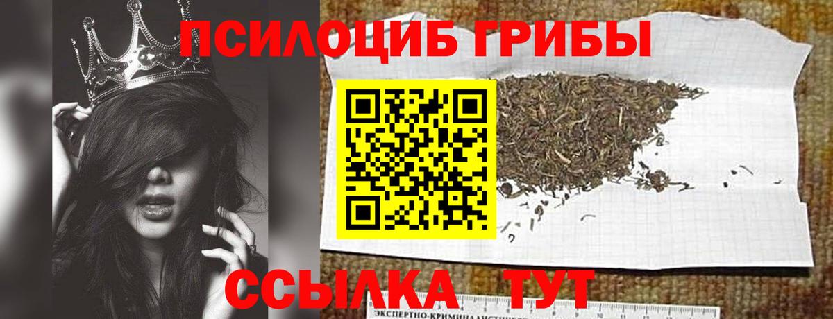 Псилоцибиновые грибы GOLDEN TEACHER  Вход с VPN  Арсеньев 